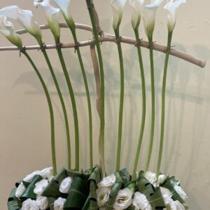 Anemones - כלניות Menorah - Enlighten the home with Chanukah flowers.