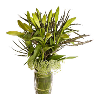 Budding Surprise in Crystal Vase